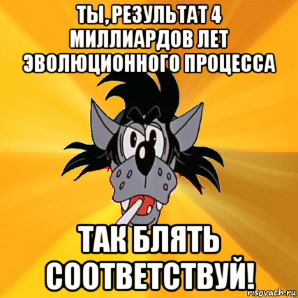 ты, результат 4 миллиардов лет эволюционного процесса так блять соответствуй!, Мем Волк