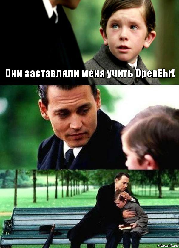 Они заставляли меня учить OpenEhr!  