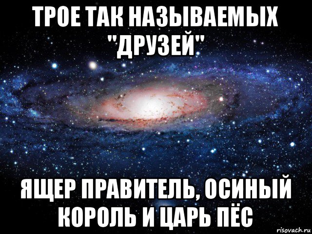 трое так называемых "друзей" ящер правитель, осиный король и царь пёс, Мем Вселенная