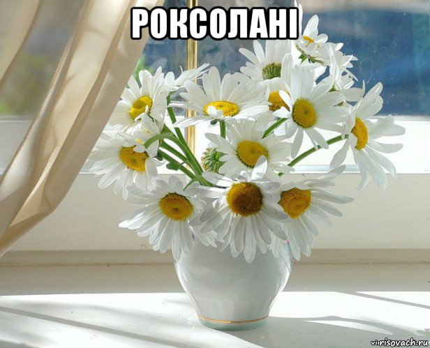 роксолані 