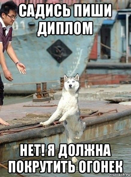 садись пиши диплом нет! я должна покрутить огонек