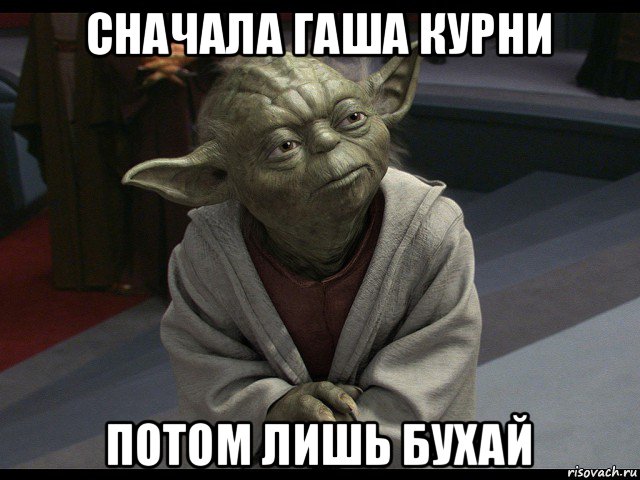 сначала гаша курни потом лишь бухай, Мем Йода