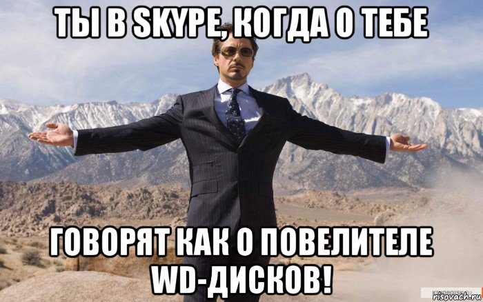 ты в skype, когда о тебе говорят как о повелителе wd-дисков!, Мем железный человек