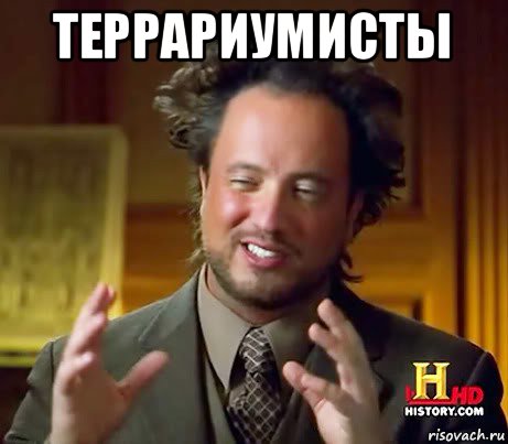 террариумисты , Мем Женщины (aliens)