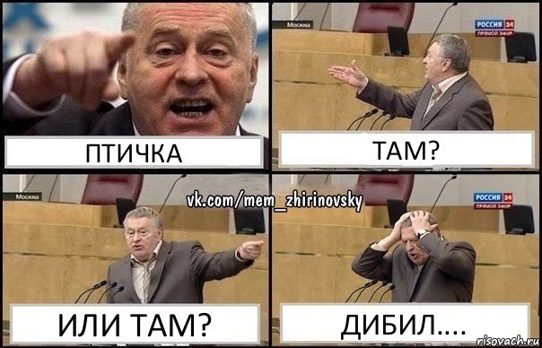 ПТИЧКА ТАМ? ИЛИ ТАМ? ДИБИЛ...., Комикс Жирик