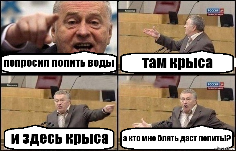 попросил попить воды там крыса и здесь крыса а кто мне блять даст попить!?, Комикс Жириновский