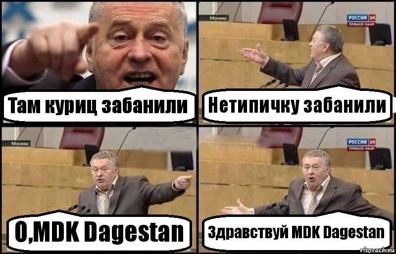 Там куриц забанили Нетипичку забанили О,MDK Dagestan Здравствуй MDK Dagestan, Комикс Жириновский