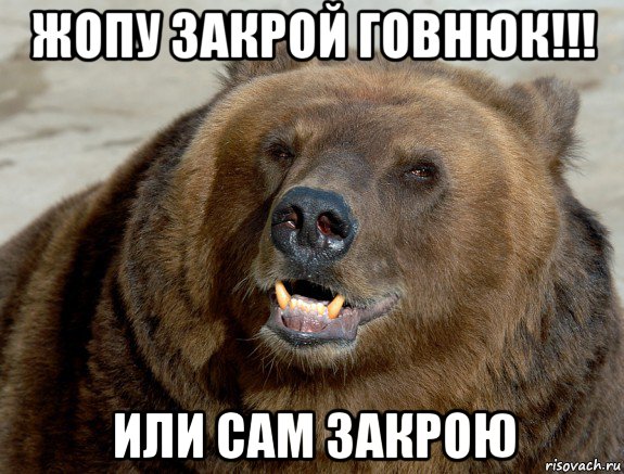 жопу закрой говнюк!!! или сам закрою