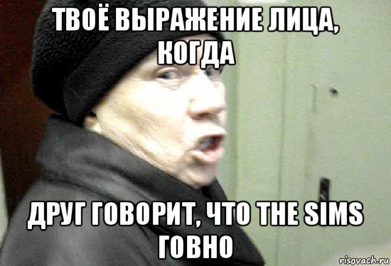 твоё выражение лица, когда друг говорит, что the sims говно