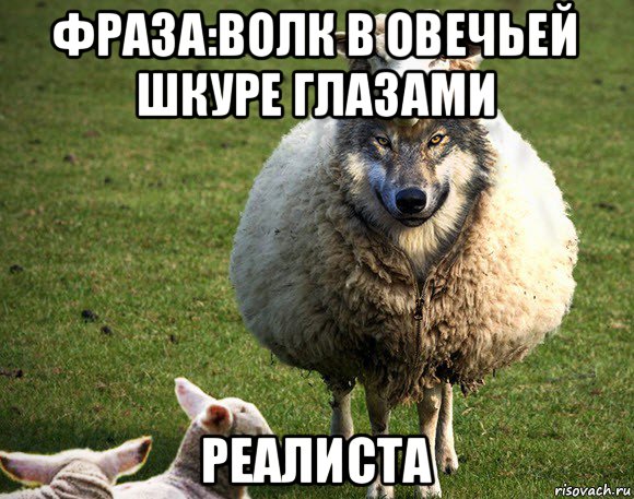фраза:волк в овечьей шкуре глазами реалиста, Мем Злая Овца