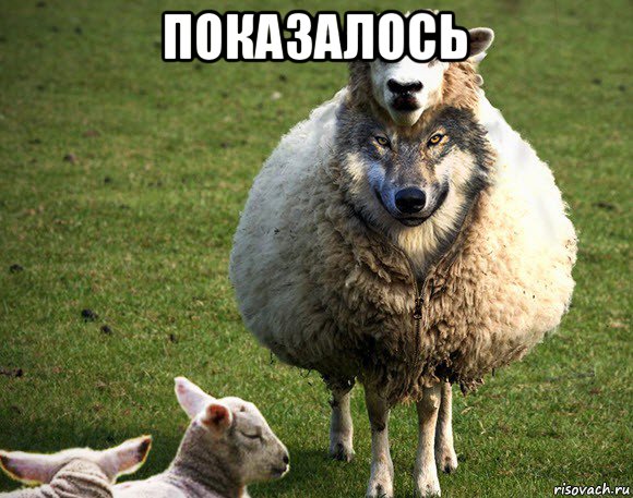 показалось , Мем Злая Овца