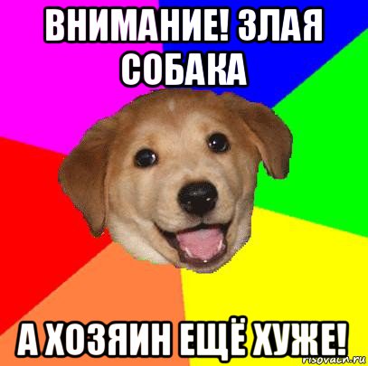 внимание! злая собака а хозяин ещё хуже!, Мем Advice Dog