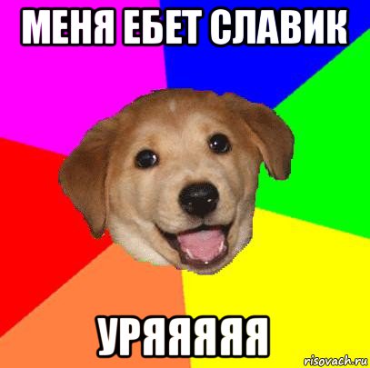 меня ебет славик уряяяяя, Мем Advice Dog