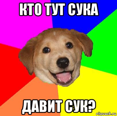 кто тут сука давит сук?, Мем Advice Dog