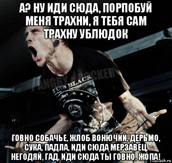 а? ну иди сюда, порпобуй меня трахни, я тебя сам трахну ублюдок говно собачье, жлоб вонючий, дерьмо, сука, падла, иди сюда мерзавец, негодяй, гад, иди сюда ты говно, жопа!, Мем Агрессивный Рокер