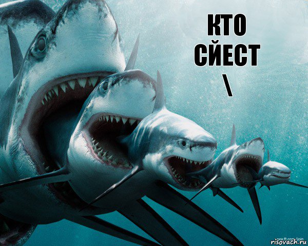 КТО СЙЕСТ
\