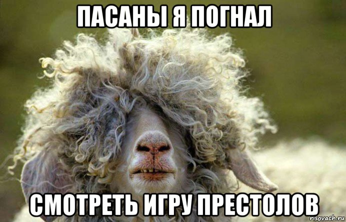 пасаны я погнал смотреть игру престолов