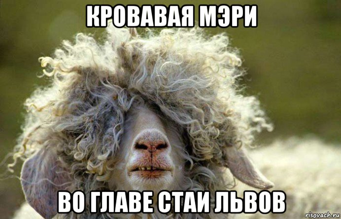 кровавая мэри во главе стаи львов