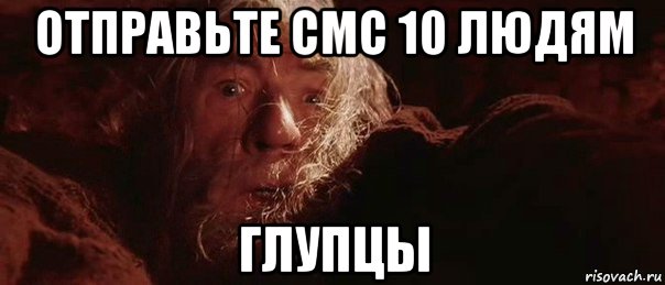 отправьте смс 10 людям глупцы, Мем бегите глупцы