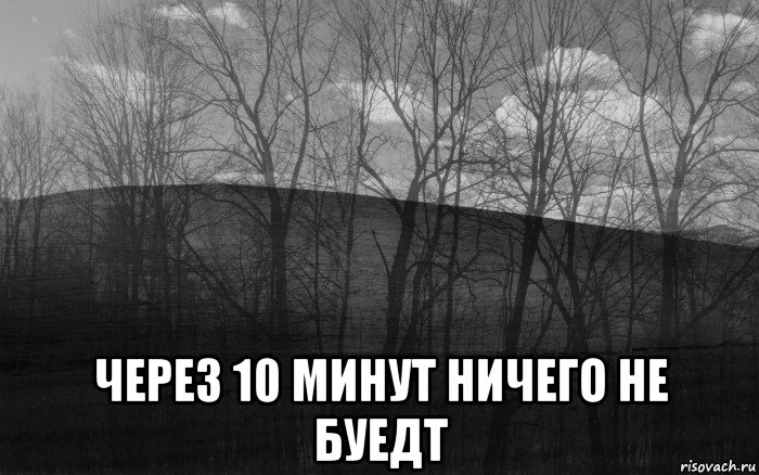  через 10 минут ничего не буедт, Мем безысходность лес