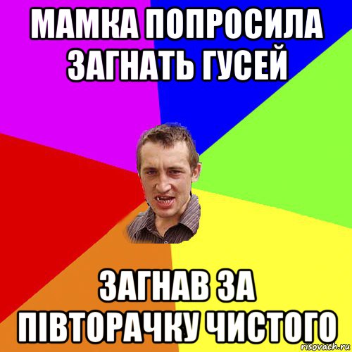 мамка попросила загнать гусей загнав за півторачку чистого, Мем Чоткий паца