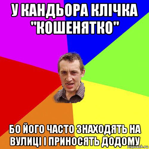 у кандьора клічка "кошенятко" бо його часто знаходять на вулиці і приносять додому, Мем Чоткий паца