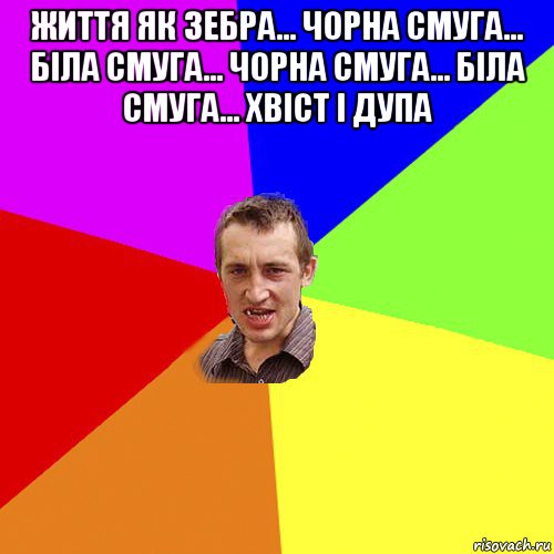 життя як зебра… чорна смуга… біла смуга… чорна смуга… біла смуга… хвіст і дупа , Мем Чоткий паца