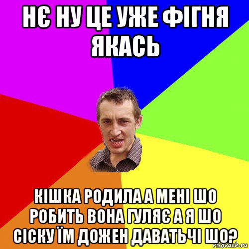 нє ну це уже фігня якась кішка родила а мені шо робить вона гуляє а я шо сіску їм дожен даватьчі шо?, Мем Чоткий паца