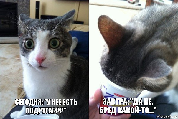 Сегодня: "У нее есть подруга???" Завтра: "Да не, бред какой-то...", Комикс  Да не бред-какой-то (2 зоны)