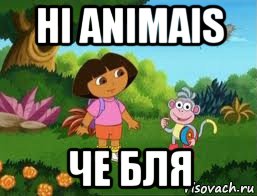 hi animais че бля