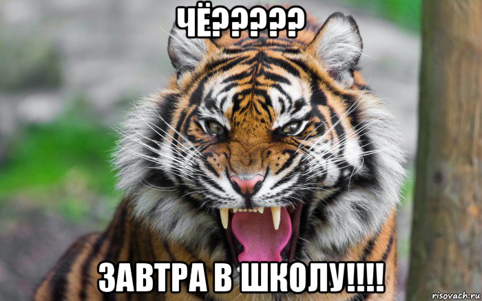 чё????? завтра в школу!!!!