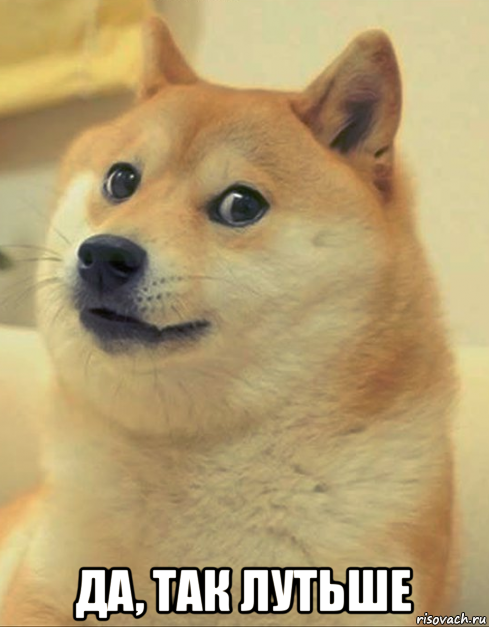  да, так лутьше, Мем doge woof