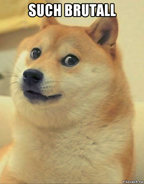 such brutall , Мем doge woof