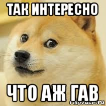 так интересно что аж гав