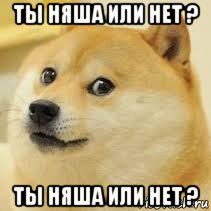 ты няша или нет ? ты няша или нет ?