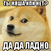 ты няша или нет ? да да ладно