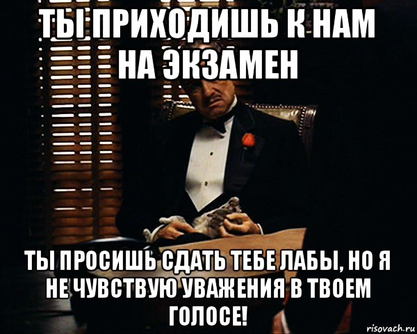 ты приходишь к нам на экзамен ты просишь сдать тебе лабы, но я не чувствую уважения в твоем голосе!, Мем Дон Вито Корлеоне