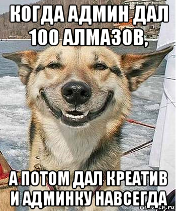 когда админ дал 100 алмазов, а потом дал креатив и админку навсегда, Мем Довольный пес