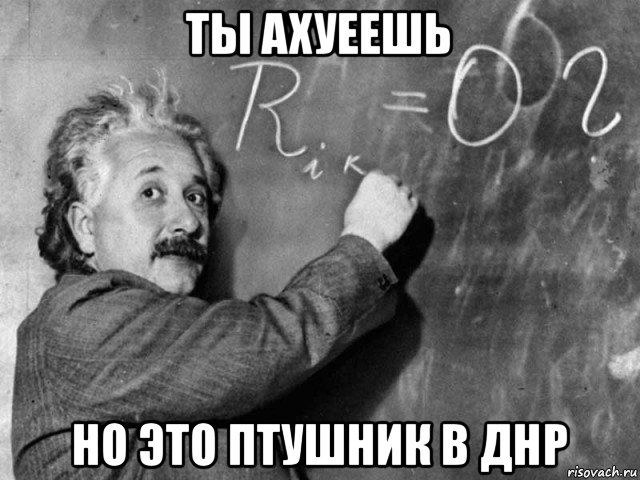 ты ахуеешь но это птушник в днр