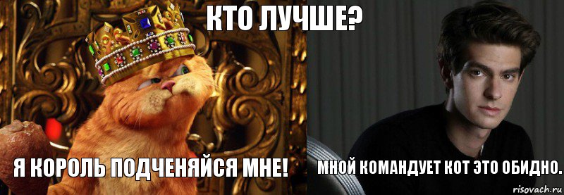 кто лучше? я король подченяйся мне! мной командует кот это обидно.