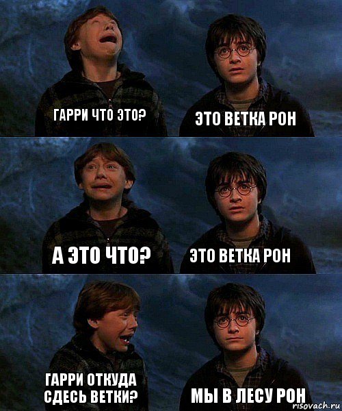 Гарри что это? Это ветка Рон А это что? Это ветка Рон Гарри откуда сдесь ветки? Мы в лесу Рон, Комикс гарри и рон в пещере пауков