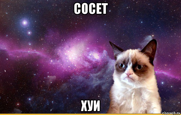 сосет хуи, Мем grumpy cat космос