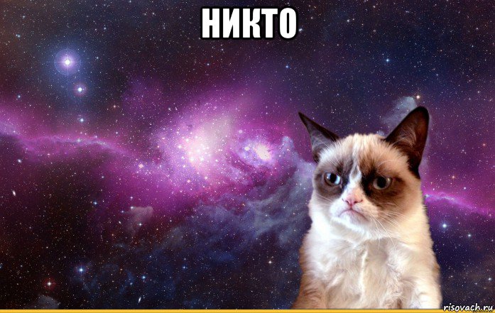 никто , Мем grumpy cat космос