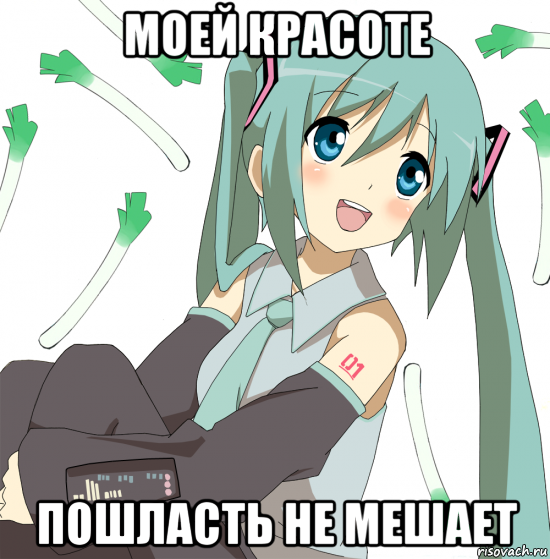 моей красоте пошласть не мешает, Мем Хатсуне Мику