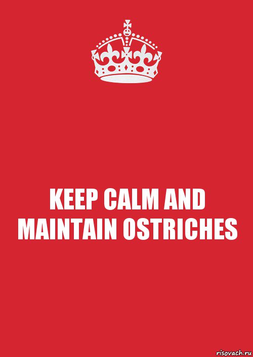 KEEP CALM AND MAINTAIN OSTRICHES, Комикс Keep Calm 3