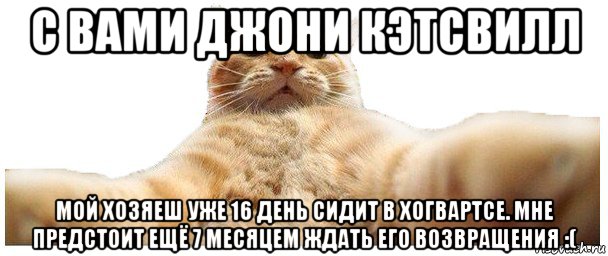 с вами джони кэтсвилл мой хозяеш уже 16 день сидит в хогвартсе. мне предстоит ещё 7 месяцем ждать его возвращения :(, Мем   Кэтсвилл