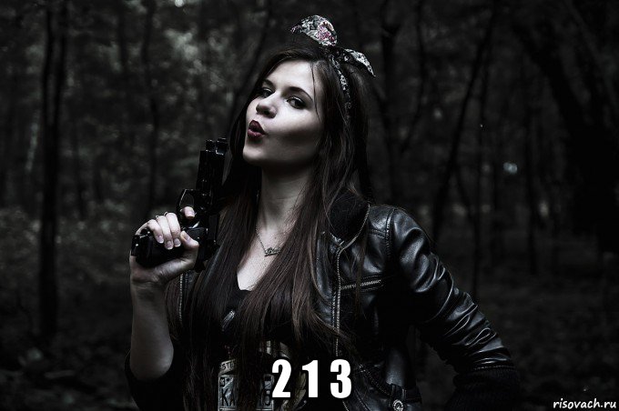  2 1 3