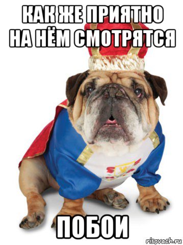 как же приятно на нём смотрятся побои
