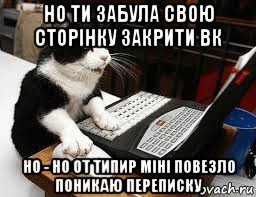 но ти забула свою сторінку закрити вк но - но от типир міні повезло поникаю переписку, Мем Кошка за компьютером