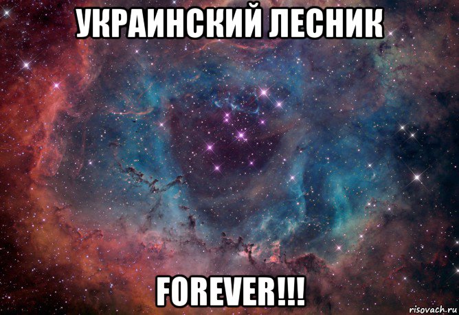 украинский лесник forever!!!